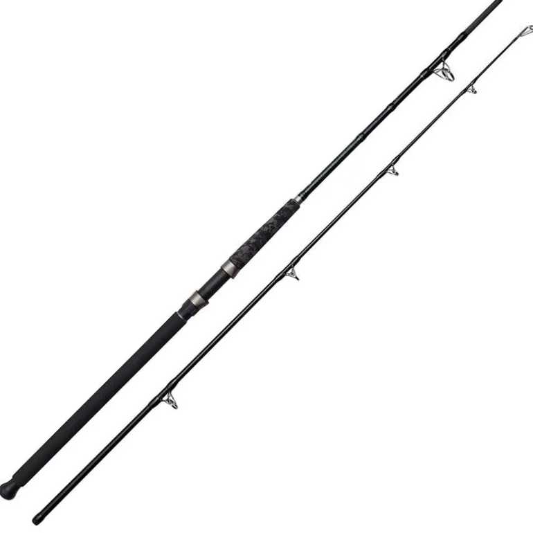 Canne bouée silure madcat black heavy duty 2.70m 200-300g (2021)