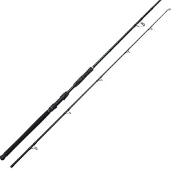 Canne bouée silure madcat black deluxe 2.95m 100-250g