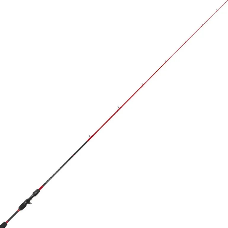 Canne casting Tenryu injection bcv 6.0 H 1,83m 14-42g