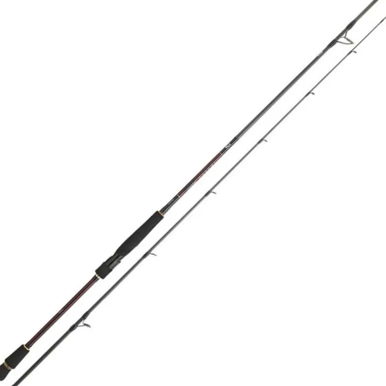 Canne Daiwa Infeet Seabass 2.29m