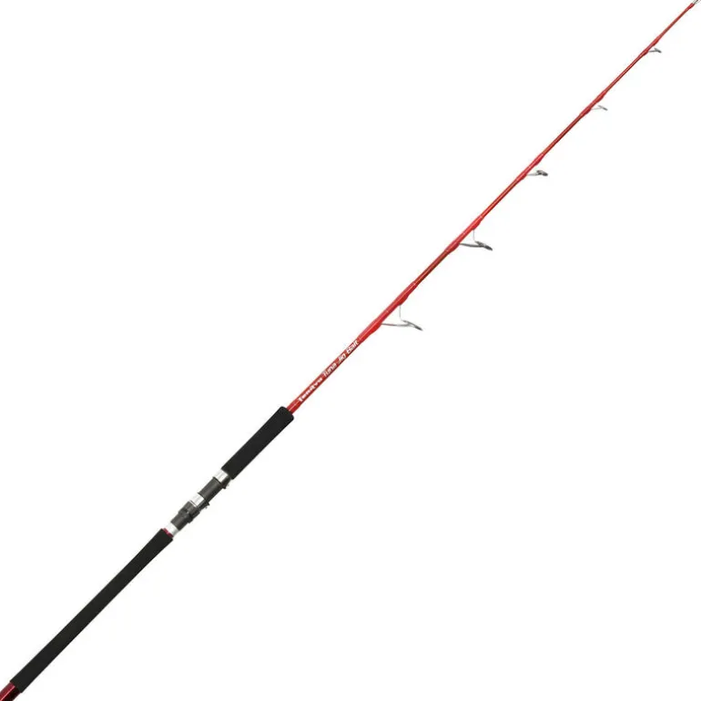 Canne jigging tenryu tuna jig bait 1.70m 120lbs