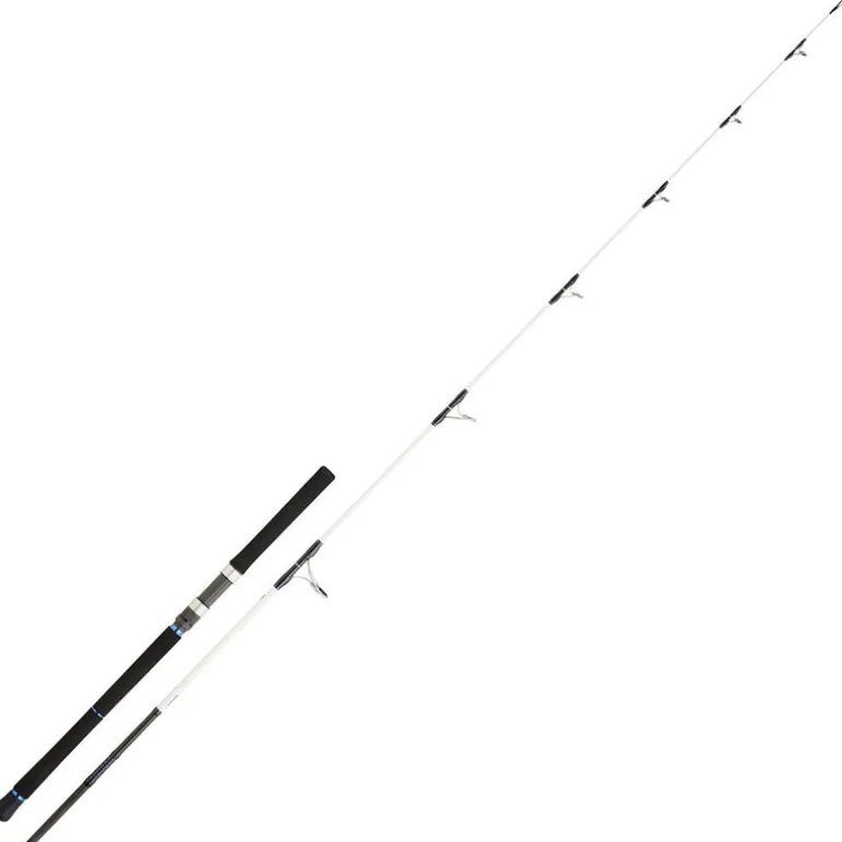 Canne Lancer Daiwa Saltist 802 H 2.44m 40/50lbs