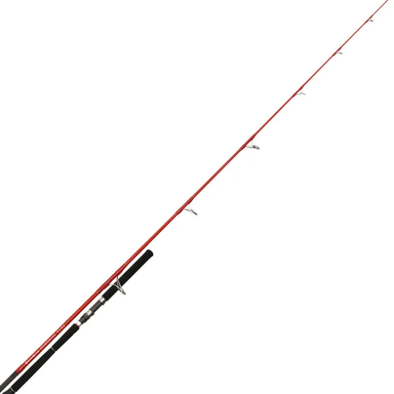 Canne lancer thon tenryu demoniac tuna 2.70m 40-120g