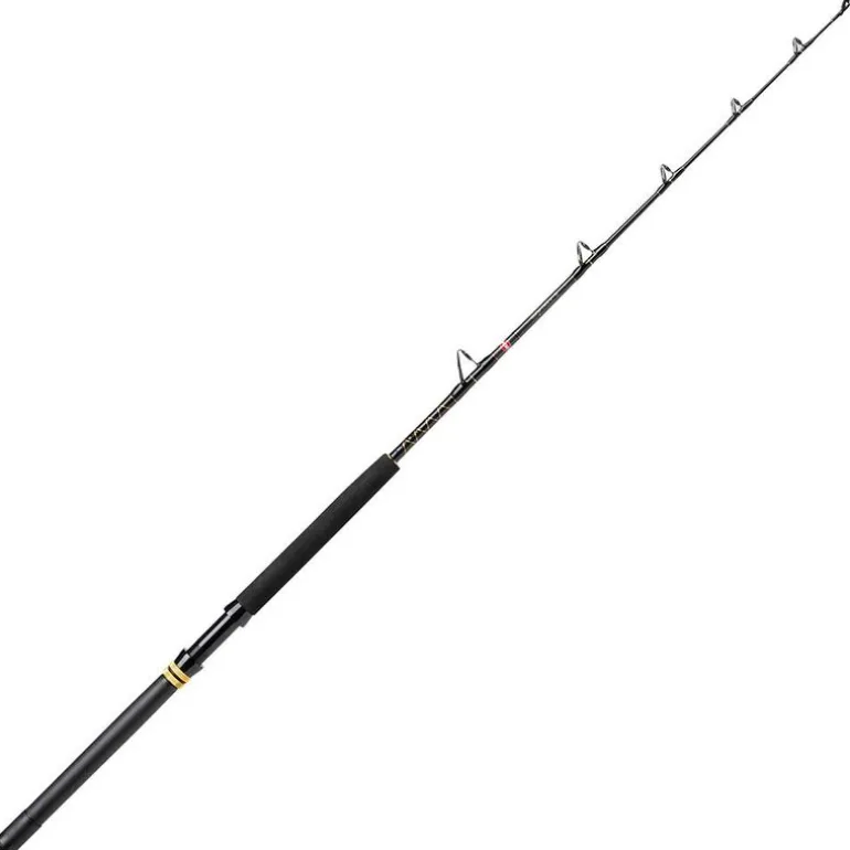Canne Penn Squall II trolling 30-80lb