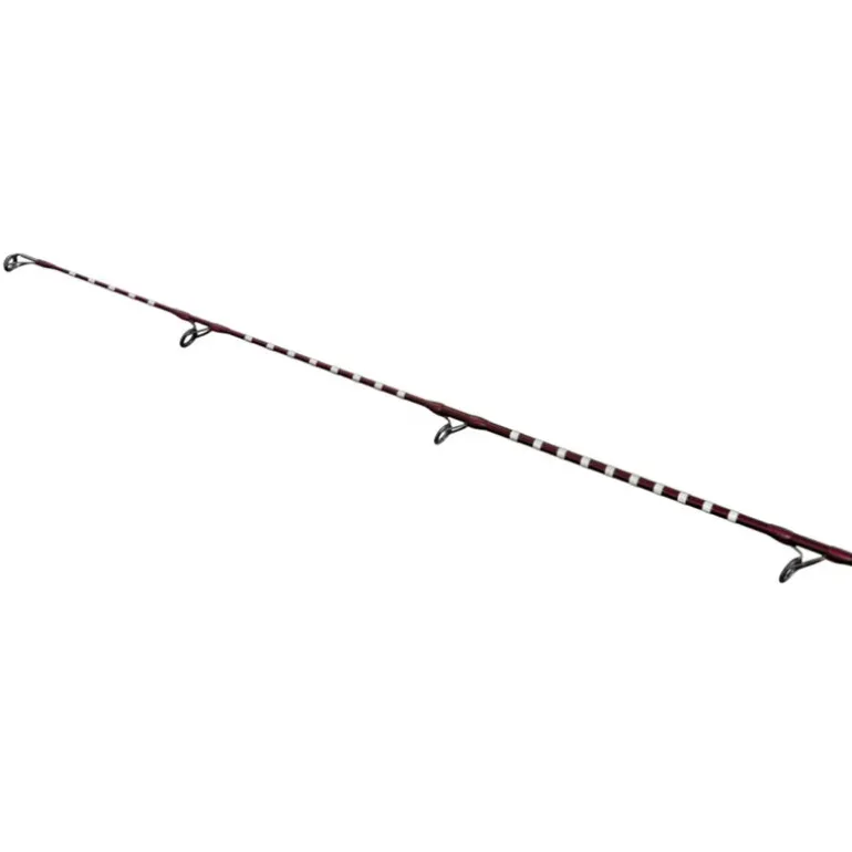 Canne Shimano Power Surf H 425 BX 4.25m 225g