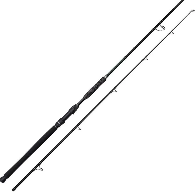 Canne silure madcat black deluxe 2.70m 100-250g