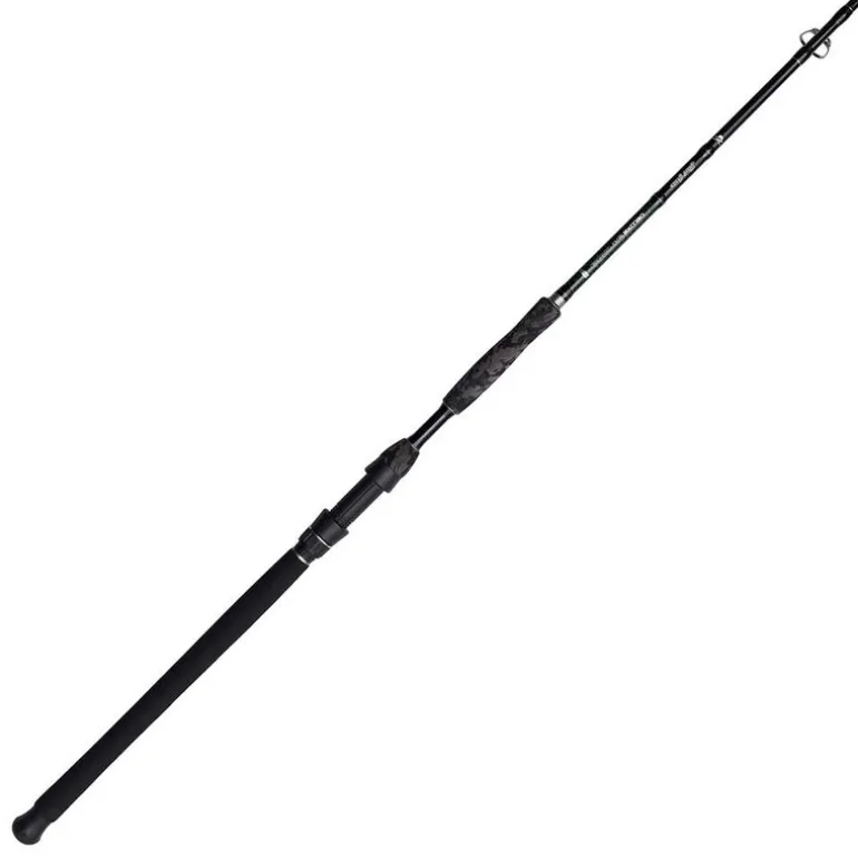Canne silure madcat black deluxe 2.70m 100-250g