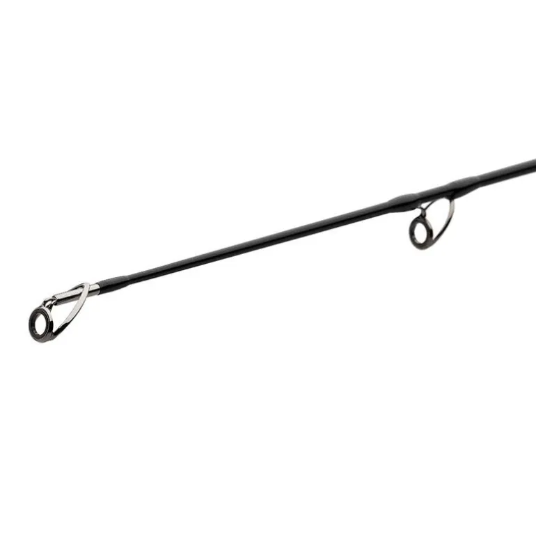 Canne silure madcat black deluxe 2.70m 100-250g