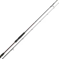 Canne Spinning Daiwa Infeet Seabass 2.44m 7-28g