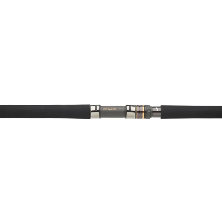 Canne Spinning DAIWA Saltiga Lancer Giant Travel