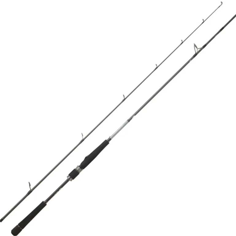 Canne Spinning DAIWA Saltist Seabass 702 MHFS 14-42g