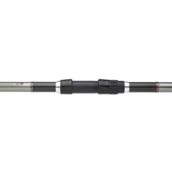 Canne Surfcasting DAIWA Shorecast Surf X 4m20 100-200g