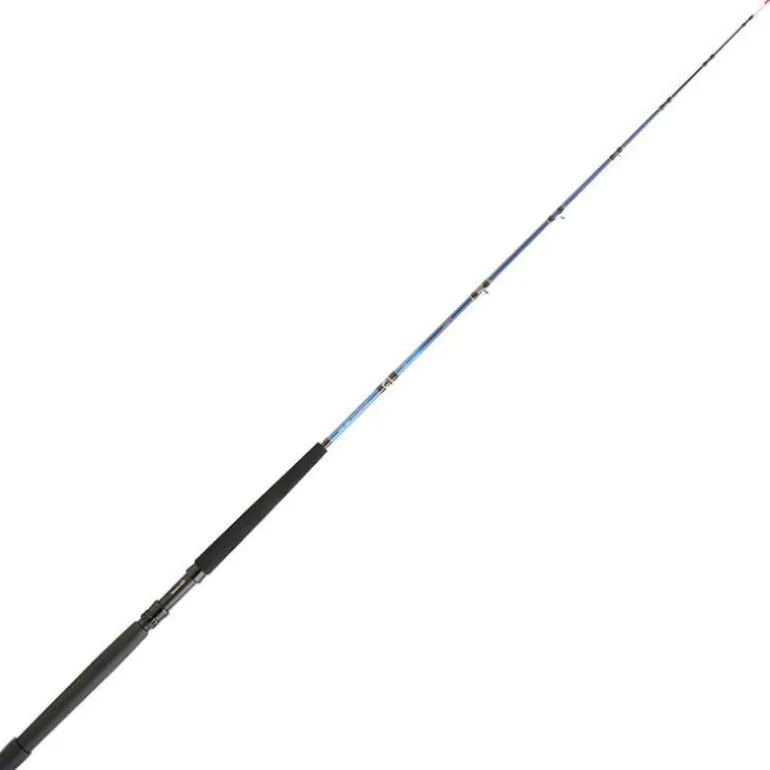 Canne Traine Daiwa Tanacom Boat 2m