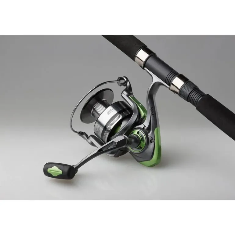 Ensemble DAM Full Cat XP Combo Heavy-D 2m40 150-250g
