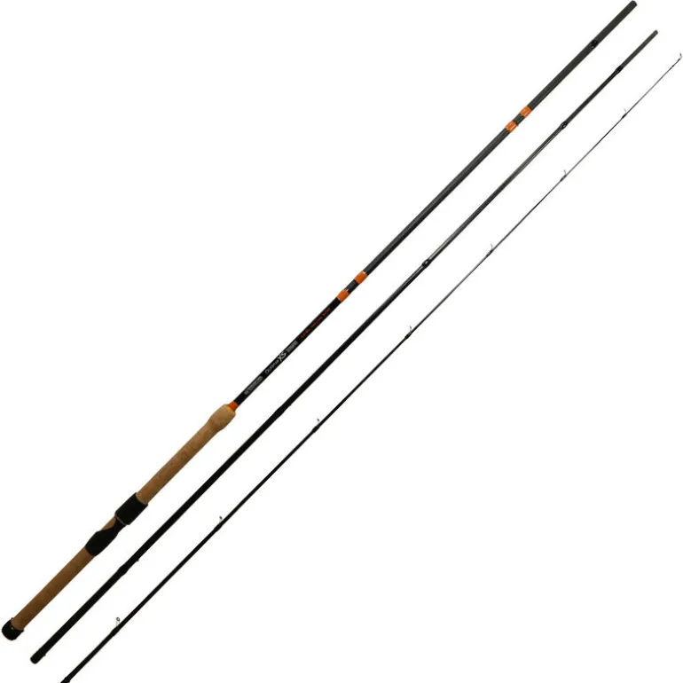 Ensemble Garbolino Toc Canne 3m90 + Moulinet 800