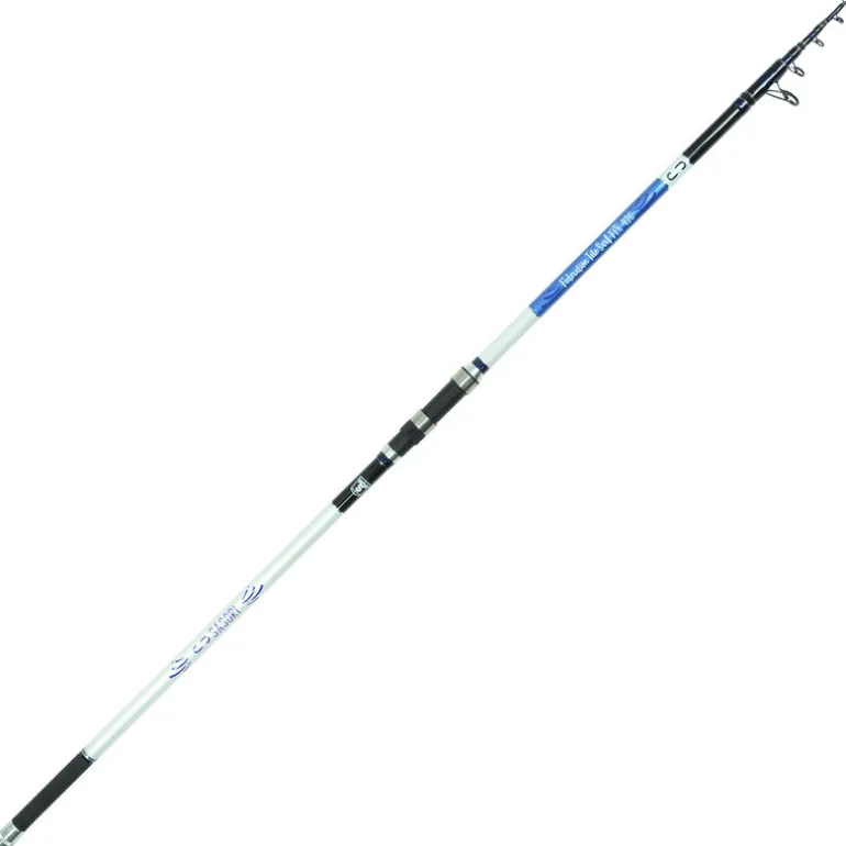 Ensembles Surf 2 cannes téle 4m10 + 2 moulinets 5000