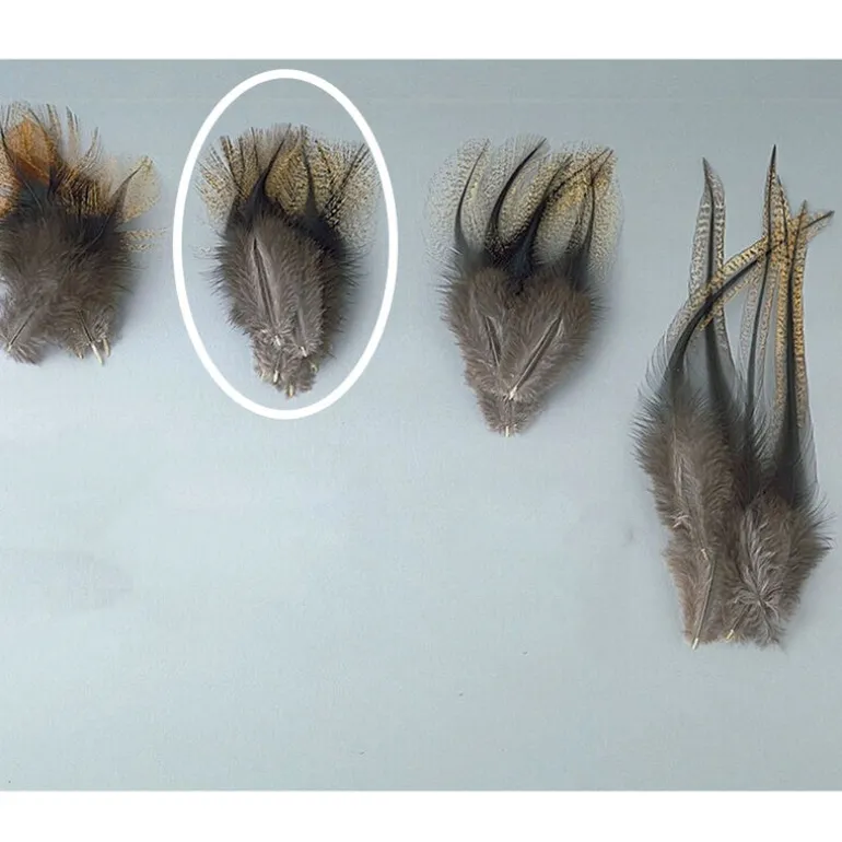 Fly tying jmc plumes de pardo pelle de cape grade 1