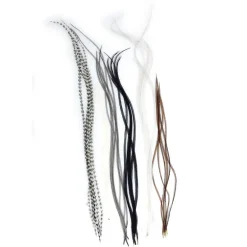 Fly tying plumes jmc lancettes top grade (6 plumes)