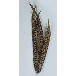 Fly tying queue de faisan jmc