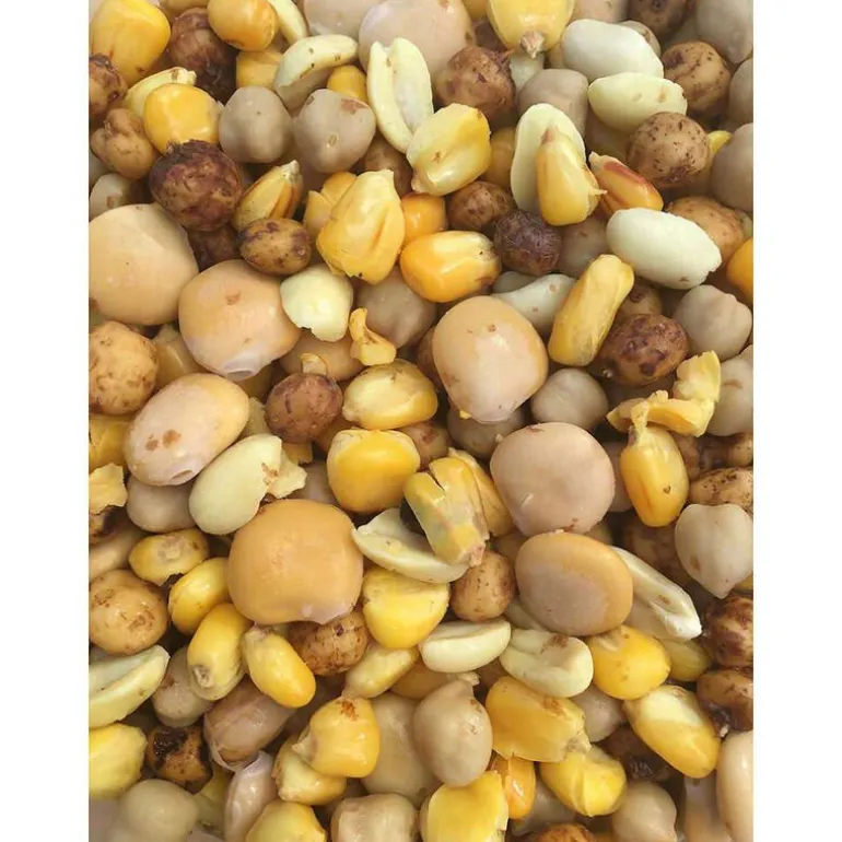 Graine cuite carpe mack2 ready made active mix 2.3l