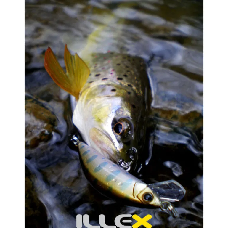 Leurre Dur Jerkbait Illex Tricoroll 55HW 5.5cm, 4.5g