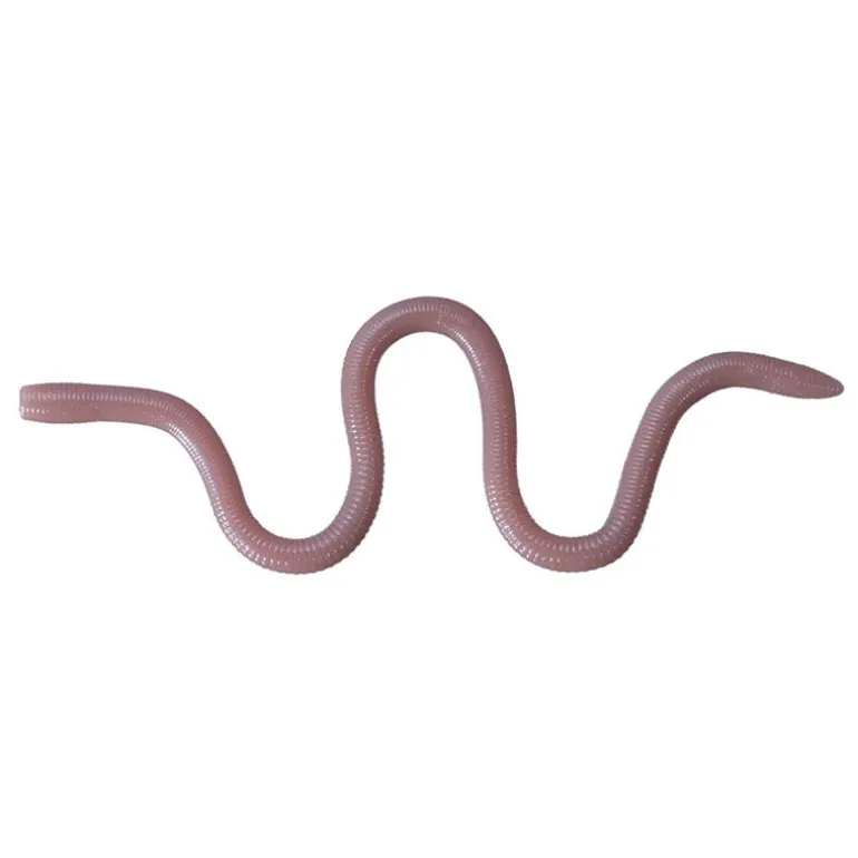 Leurre Souple Worm OSP Mmz 10cm (x8)