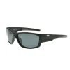 Lunette Polarisante Leon Hoogendijk verre gris