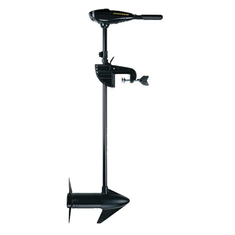 Moteur Électrique Minn Kota Endura C2 V2 50LBS, 12v, 91cm