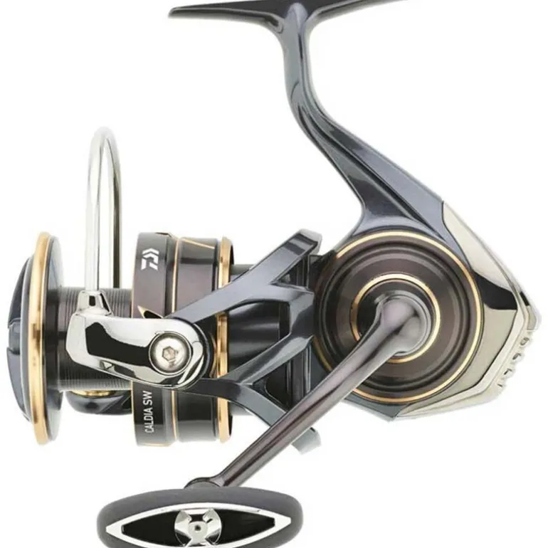 Moulinet Spinning Daiwa Caldia Sw 2023 8000H