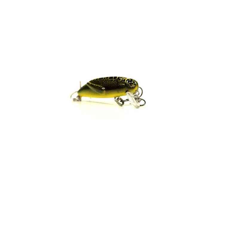 Pack Eco Petit Carnassier