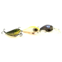 Pack Prêt à Pêcher Perche Bzone Striker 210M 5-21g + Moulinet + Nylon + Leurres + Boites