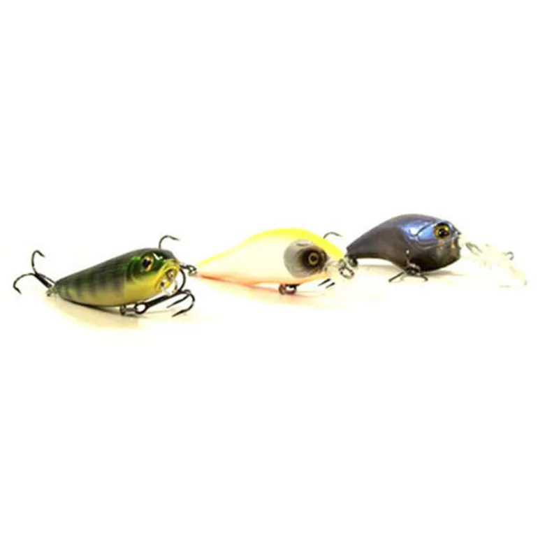 Pack Prêt à Pêcher Perche Bzone Striker 210M 5-21g + Moulinet + Nylon + Leurres + Boites