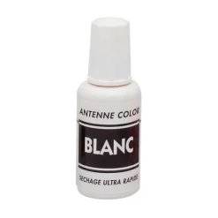 Peinture pour flotteur coup sensas antenne color