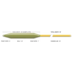 Soie flottante Forge Floating Fly Line