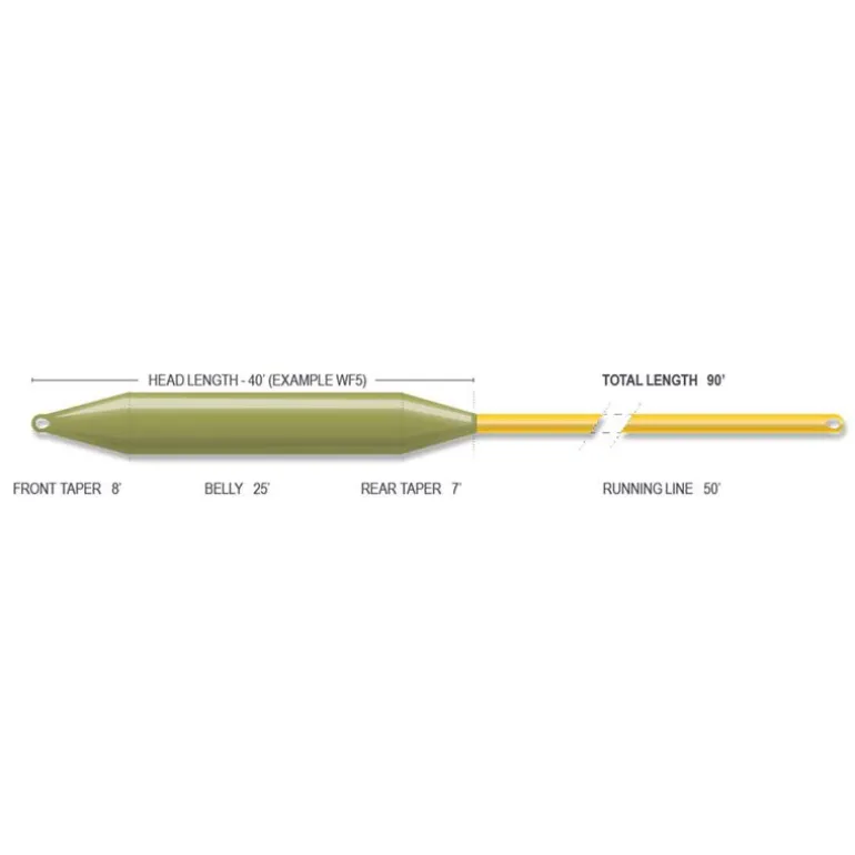 Soie flottante Forge Floating Fly Line