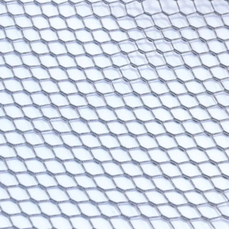 Tête d'Epuisette Rive Specimen 60x51cm