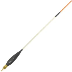WAGGLERS RIVE W22 - 6 GR